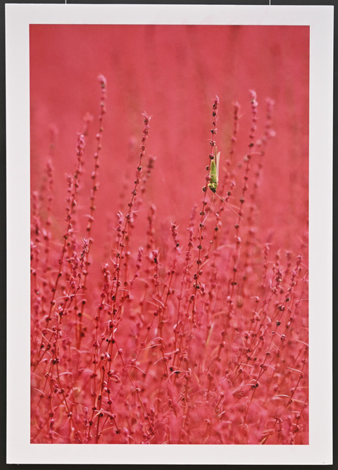 20190607_3
