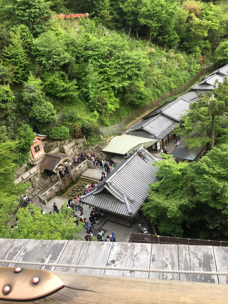 清水寺でおみくじ引いたよ がいあの趣味ブログ 清水寺でおみくじ引いたよ がいあの趣味ブログ