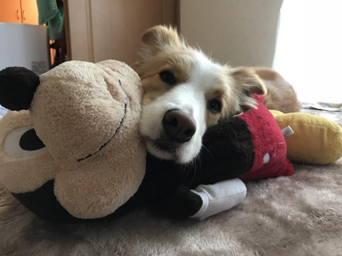 抜群のフィット感①