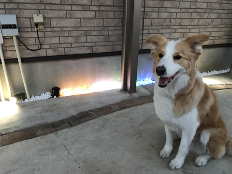 リコストーン＆ガイ