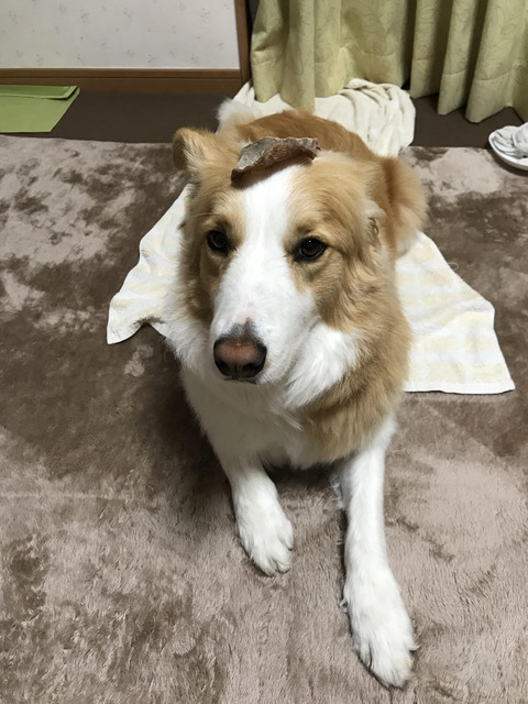 牛タンのちょんまげ