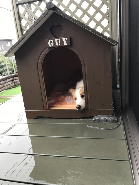 雨やまないかなぁ