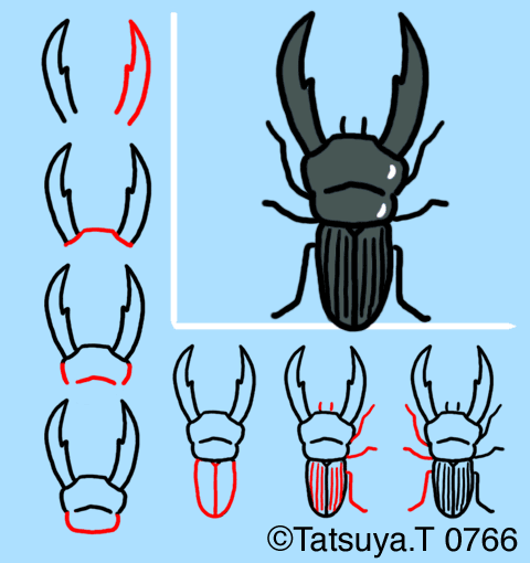 クワガタムシ 斉藤コミュ絵