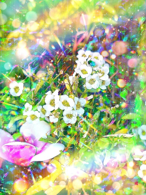 Picsart_22-11-14_22-02-08-206
