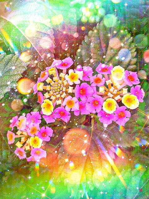Picsart_22-10-07_21-32-39-680