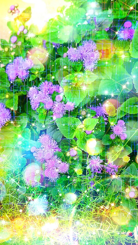 Picsart_22-07-30_21-51-39-772
