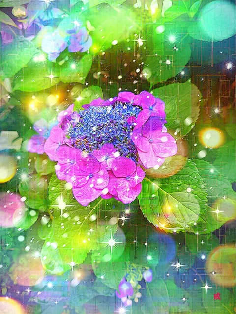 Picsart_22-06-09_21-35-19-652