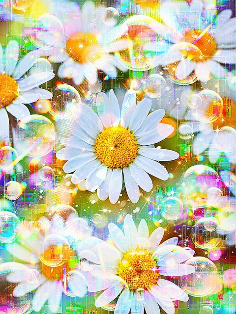 a-2182 聖なる慈愛の朝 Radiance of Holy Affection