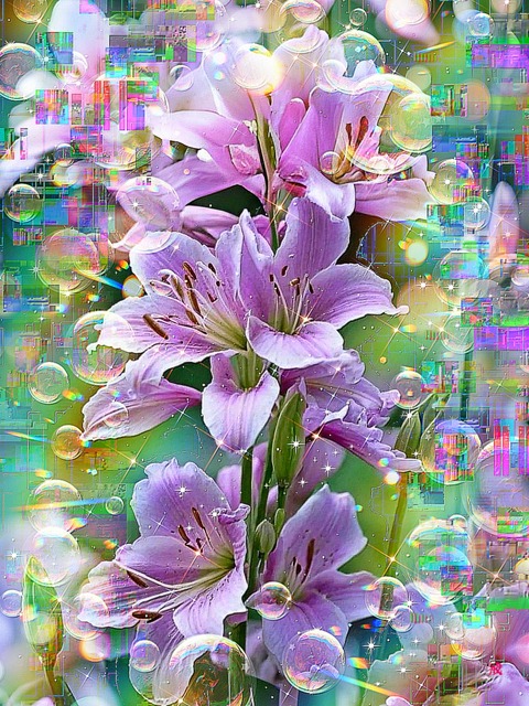 a-2269 紫雲の朝露 Celestial Dew of Kinship