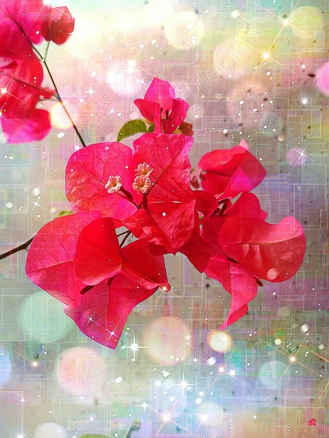 Picsart_22-08-17_22-46-51-658