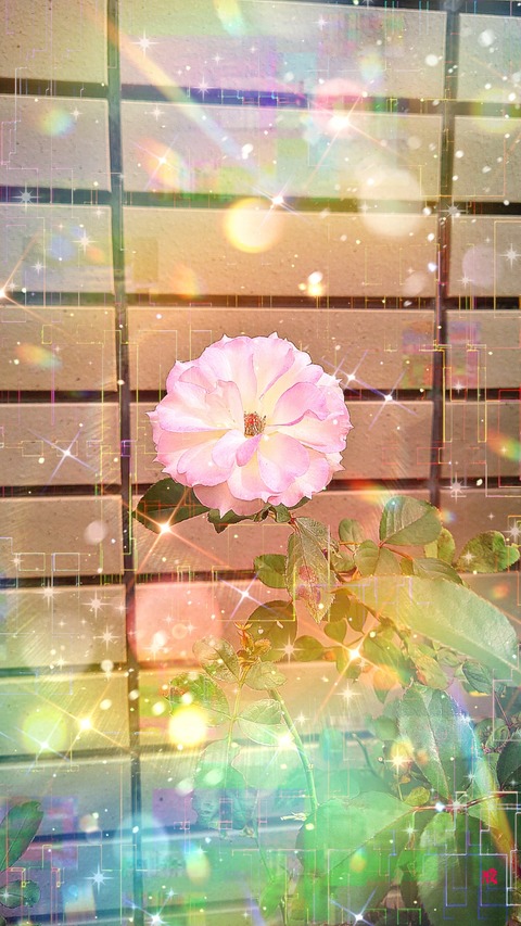 Picsart_22-11-21_22-34-32-555