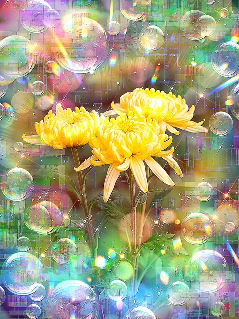 a-2337 霜月の虹 Whispers of Hope