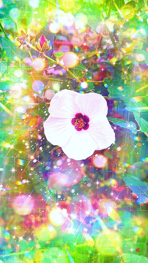 Picsart_22-09-28_21-32-53-290