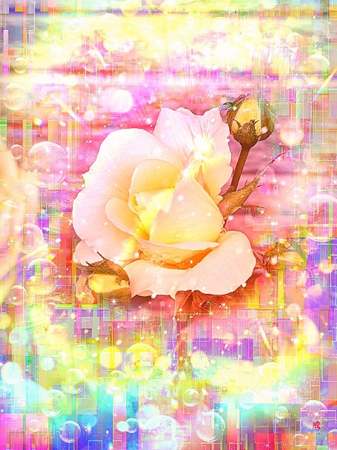a-2131 優しい光に包まれて The Peace of God's Grace