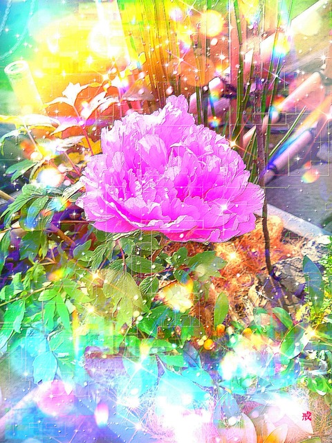 Picsart_23-02-09_13-38-41-415