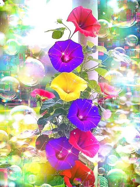 a-2279 天啓の和光 Divine Light of Harmony