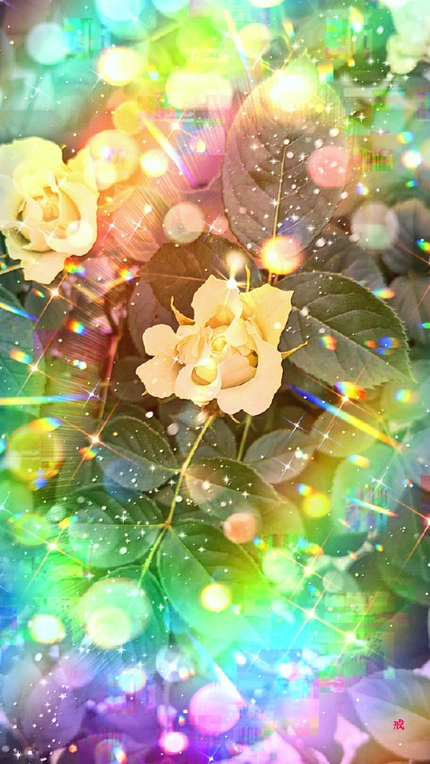 Picsart_23-05-18_20-03-53-636