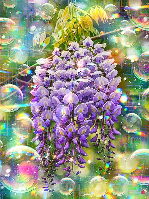 a-2399 紫光の微笑み Whispered Hues