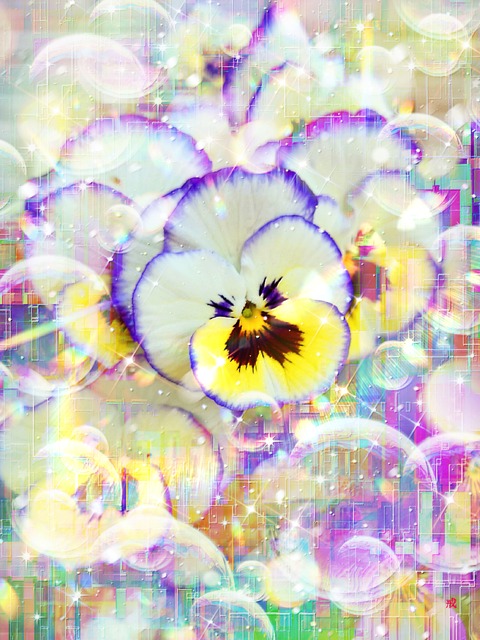 a-2149 慈愛の虹 Blessed Rainbow