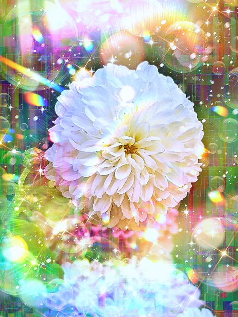 a-2101 白い花の祈り The Blessing of white flowers