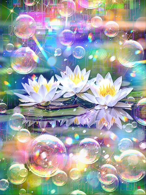 a-2410 風薫る浄華 Serene Waterwish Bloom