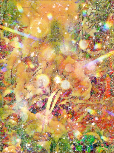 Picsart_22-12-15_16-53-09-305