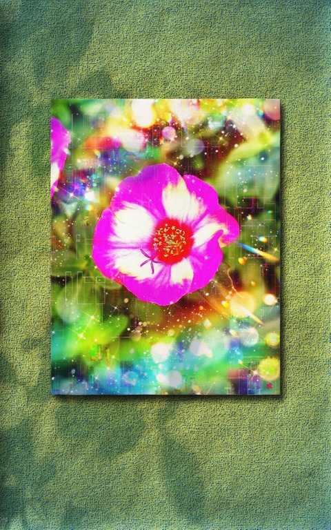 Picsart_24-02-24_12-07-22-085