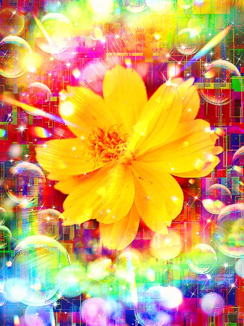 a-2120 思慕の光 The Light of Longing