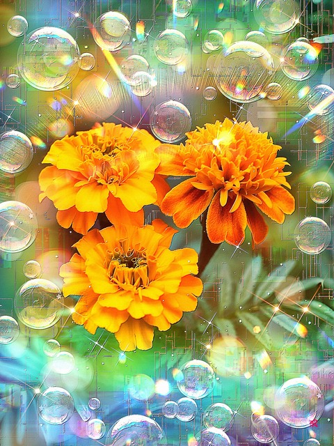 a-2336 希望の光に包まれた秋の微笑み Whispers of Hope