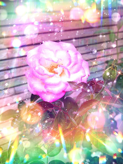 Picsart_22-10-24_21-50-52-361