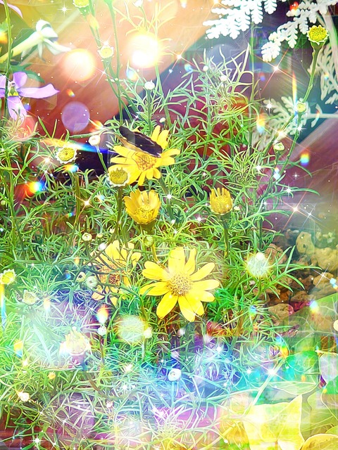 Picsart_22-08-24_22-07-31-368