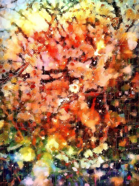 Picsart_22-10-13_17-28-00-517