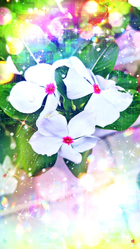 Picsart_22-08-30_21-48-25-916