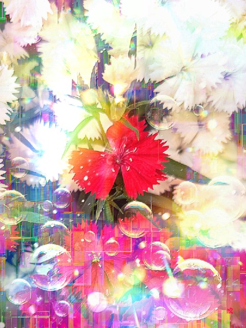 a-2113 望郷、家族への微笑み The Family's Blessing
