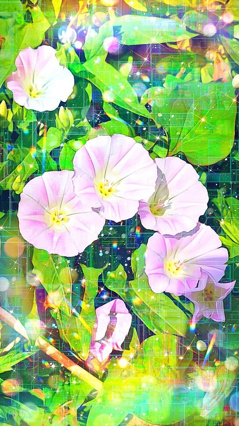 Picsart_22-08-22_22-02-50-429