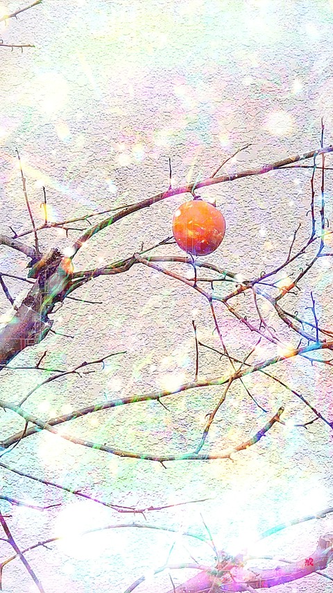 Picsart_22-12-15_21-10-28-471