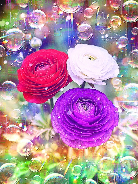 a-2398 花笑みの庭 Garden of Glee