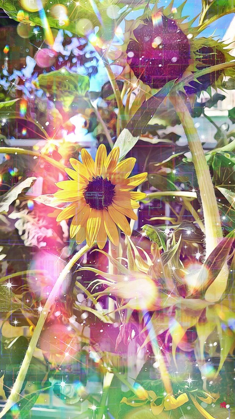 Picsart_22-08-31_21-28-55-472