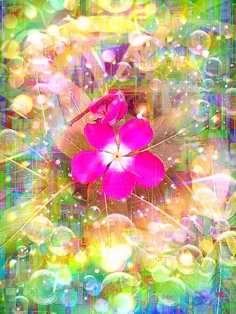 a-2127 太陽に恋して The Grace of Hope