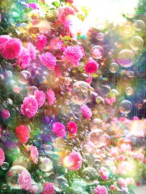 a-2276 無垢な心と夢見る夏 Innocence Summer Dreams