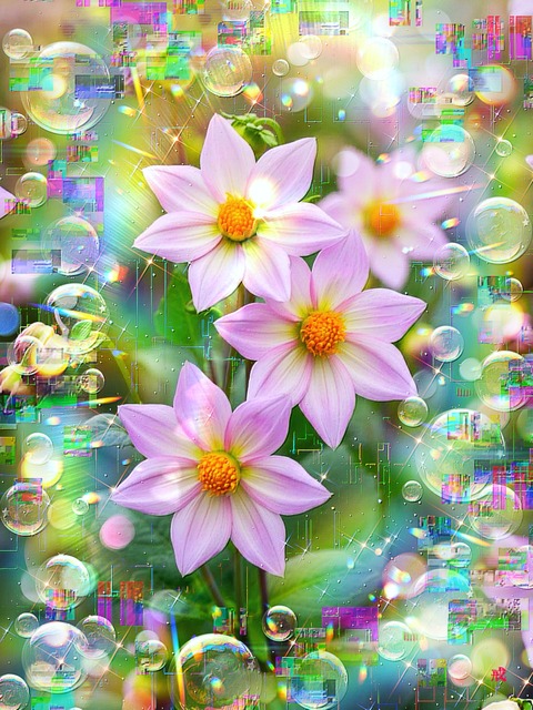 a-2329 生命の彩り Autumn's Radiant Blossoms