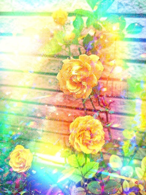 Picsart_23-06-14_20-14-21-001