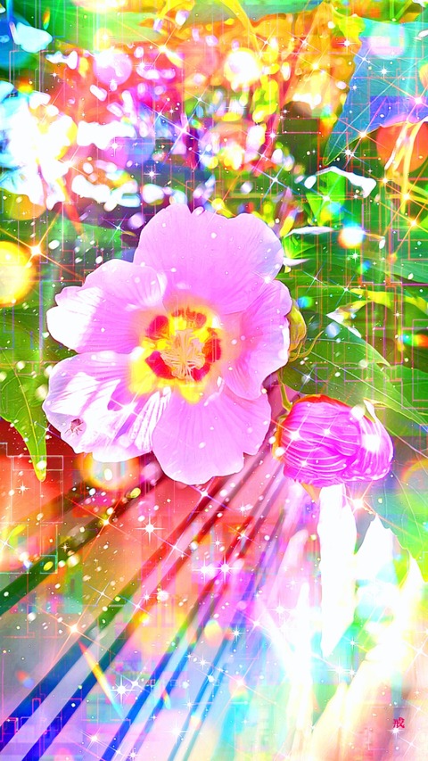 55c4fe14