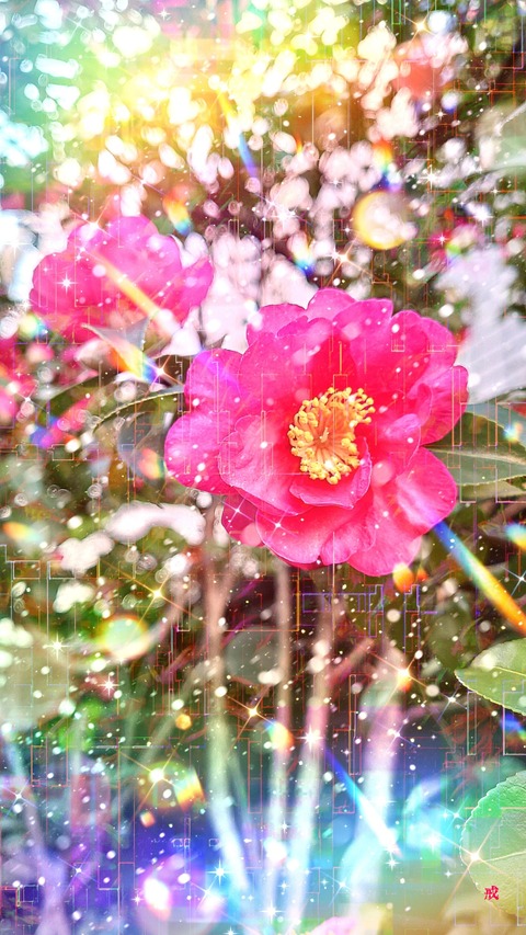 Picsart_22-12-13_22-38-11-113