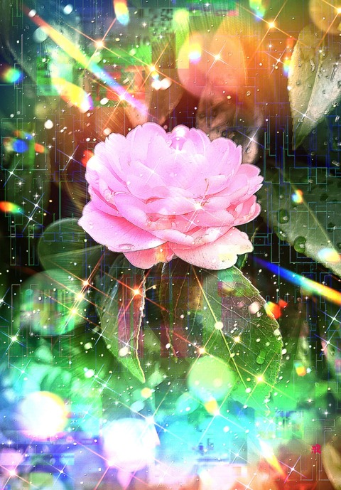 Picsart_22-12-29_22-50-40-749