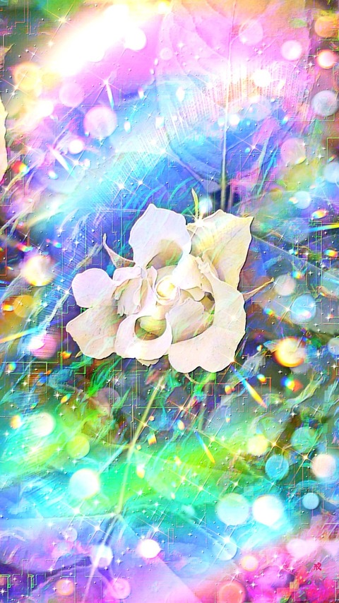 Picsart_23-07-18_20-44-44-911