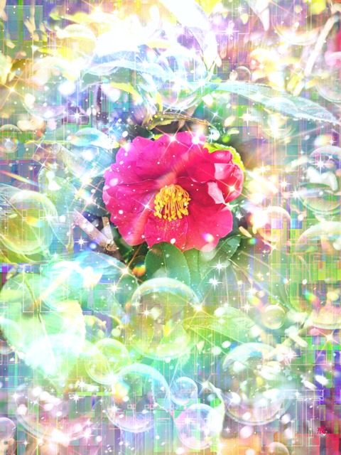 a-2144 冬の光芒 Light of Faith