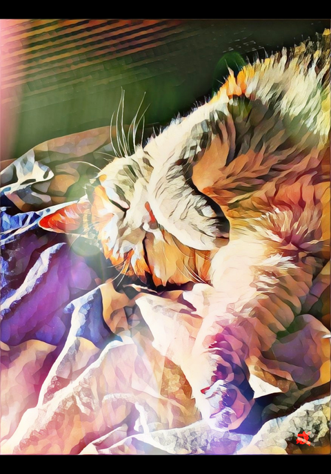 40