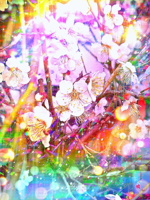 Picsart_23-02-23_22-25-30-339