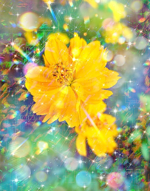 Picsart_23-08-01_21-37-27-085